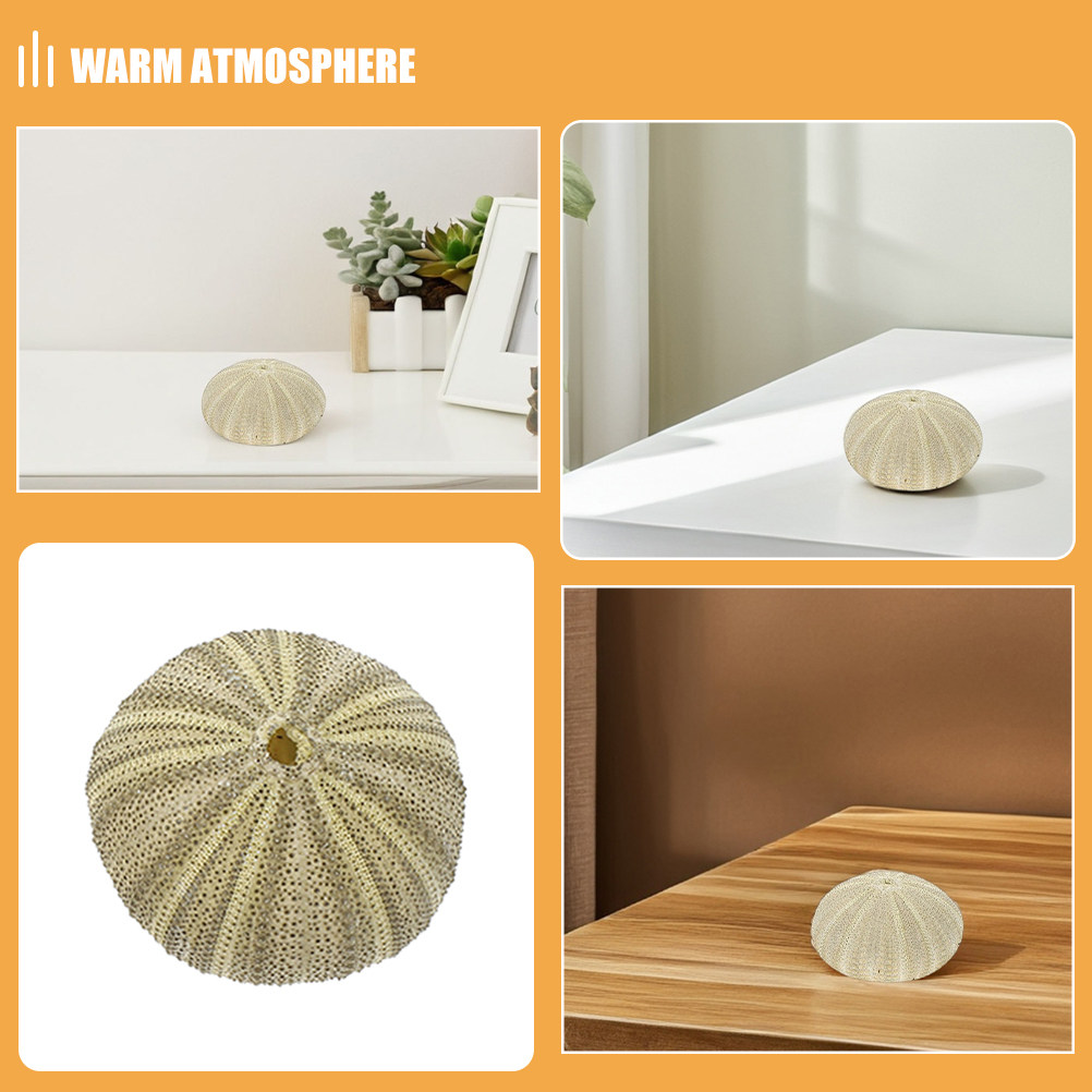 18 Peças de Conchas de Ouriço  - Art Craft Vase avaliação e preço