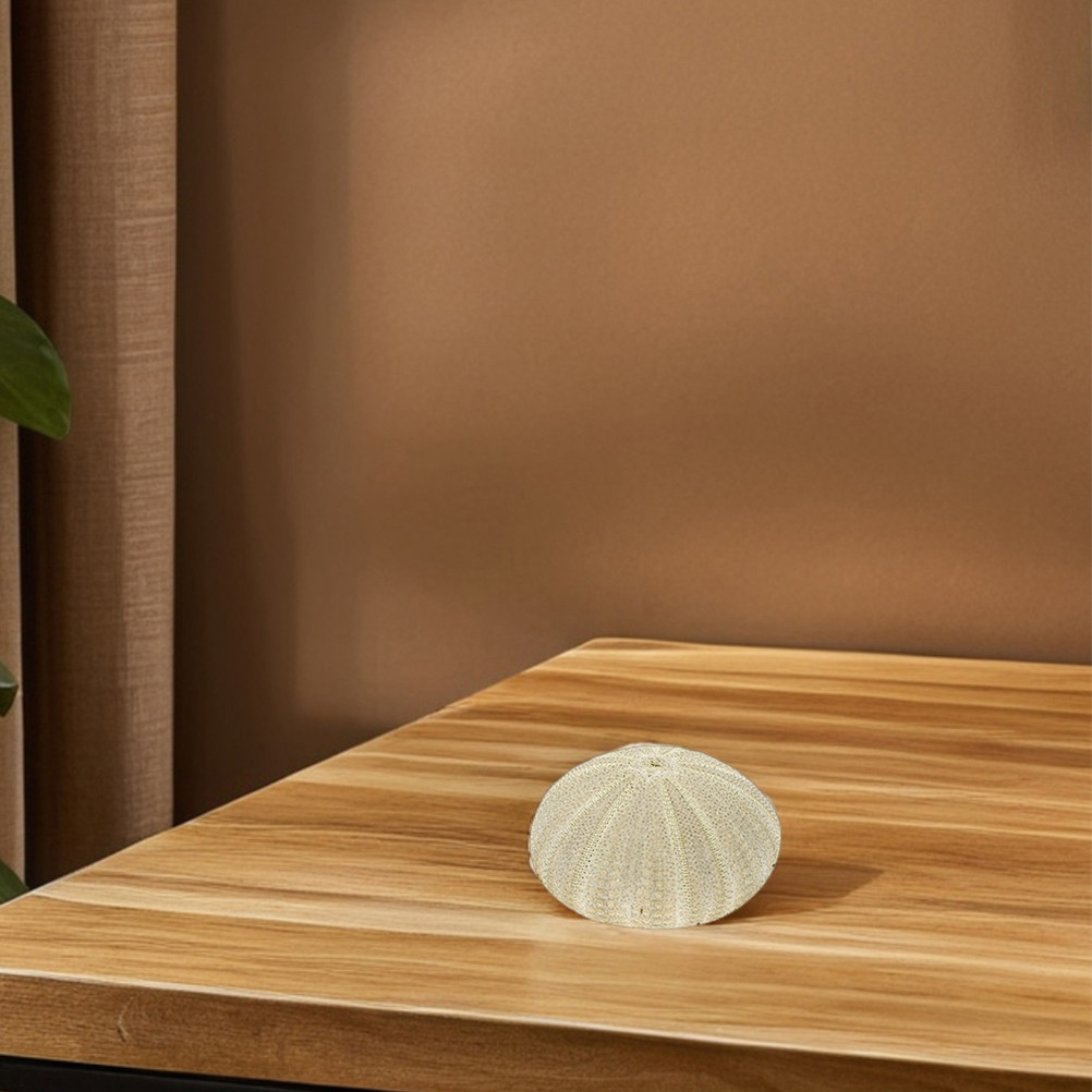 18 Peças de Conchas de Ouriço  - Art Craft Vase avaliação e preço
